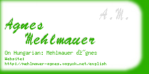 agnes mehlmauer business card